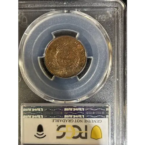 1865 2C Plain 5, BN (3)