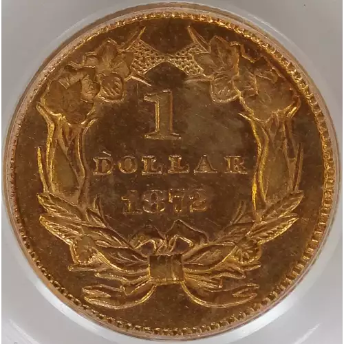 1872 G$1 (4)