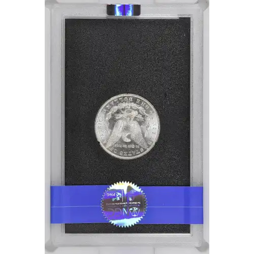 1882 GSA HOARD  (3)