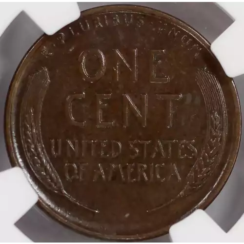 1911  BN