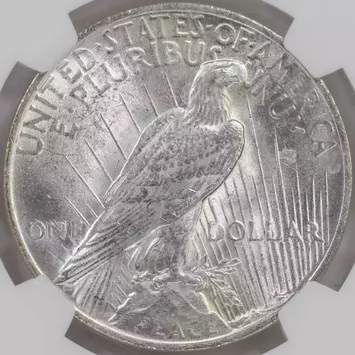 1922 VAM-2C1 EXTRA HAIR 