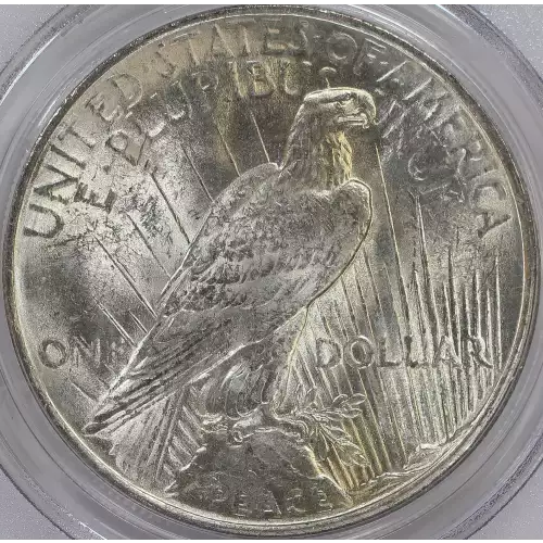 1923 $1