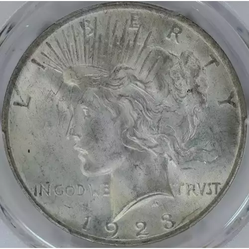 1923 $1 VAM 1B Extra Hair