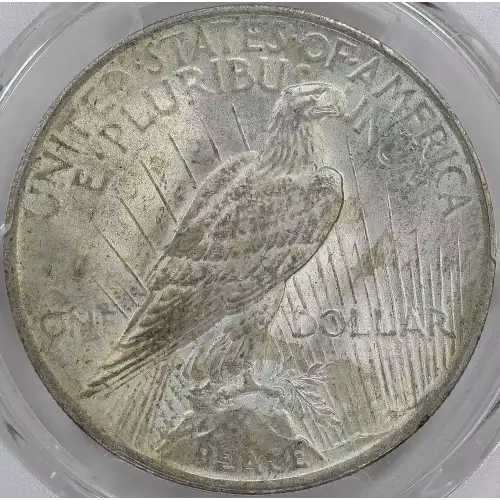 1923 $1 VAM 1B Extra Hair