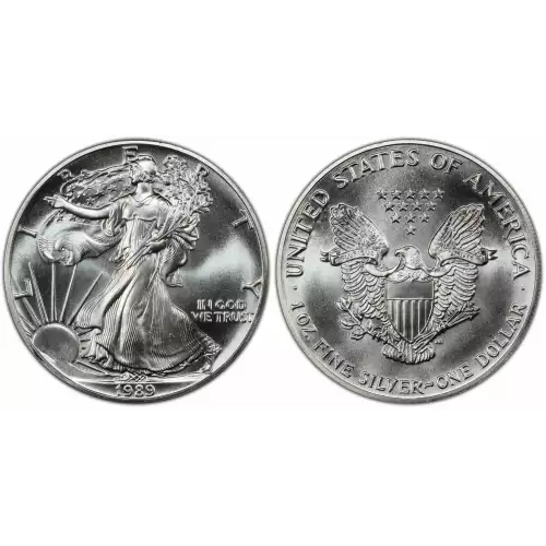 1989 1oz American Silver Eagle 