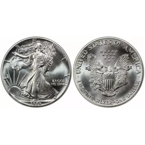 1989 1oz American Silver Eagle