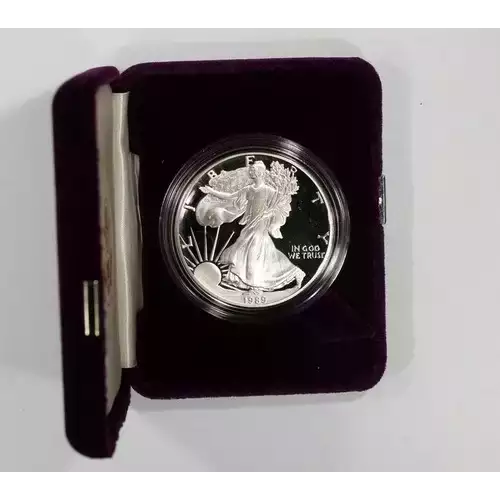 1989 S 1oz Silver Eagle  Proof - with Original Govt Packaging 