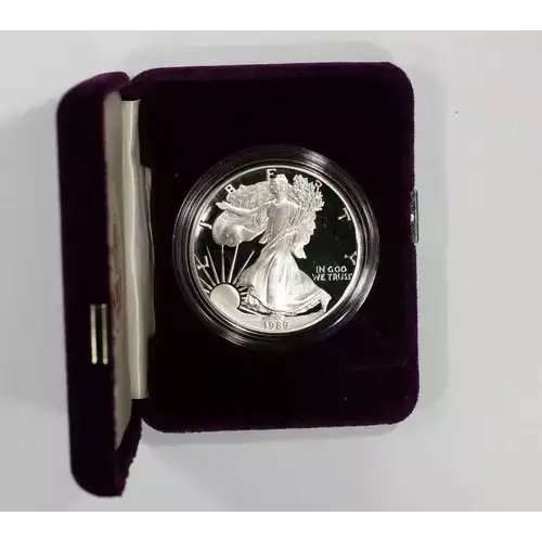 1989 S 1oz Silver Eagle  Proof - with Original Govt Packaging