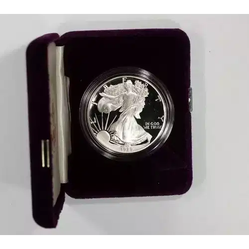 1989 S 1oz Silver Eagle  Proof - with Original Govt Packaging