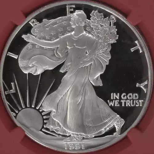 1991 S  ULTRA CAMEO