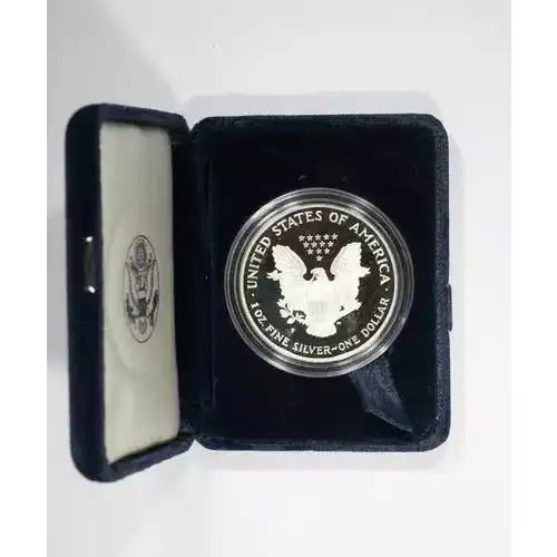 1996 P 1oz Silver Eagle  Proof - with Original Govt Packaging