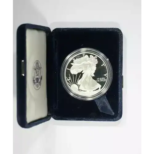 1996 P 1oz Silver Eagle  Proof - with Original Govt Packaging