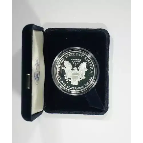 1999 P 1oz Silver Eagle  Proof - with Original Govt Packaging