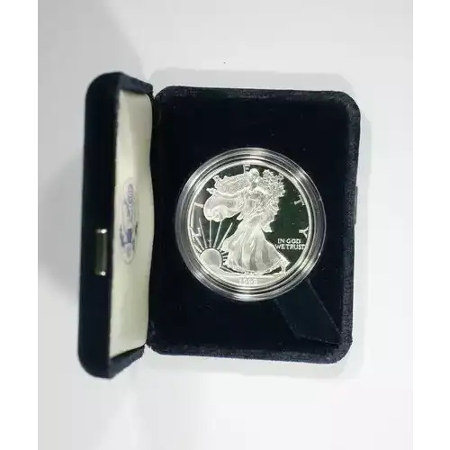 1999 P 1oz Silver Eagle  Proof - with Original Govt Packaging