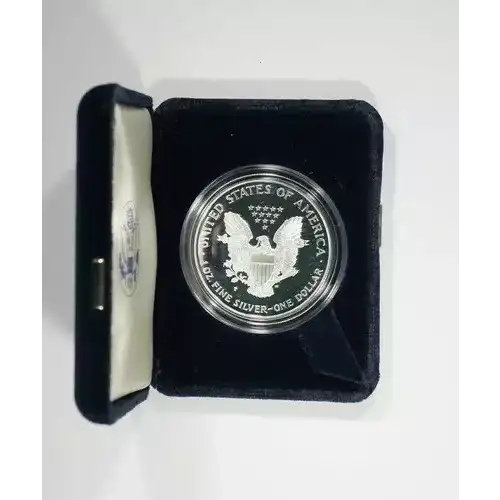 1999 P 1oz Silver Eagle  Proof - with Original Govt Packaging