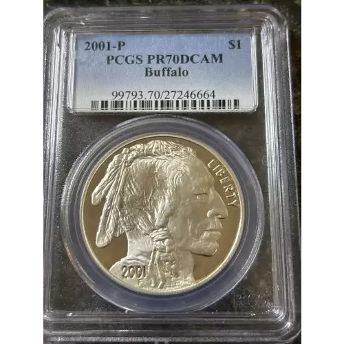 2001-P $1 Buffalo, DCAM