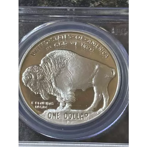 2001-P $1 Buffalo, DCAM (4)