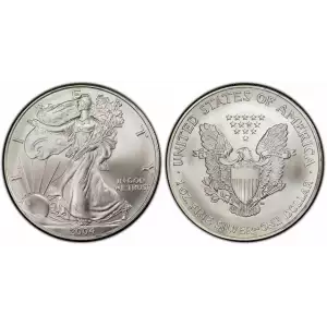 2004 1oz American Silver Eagle