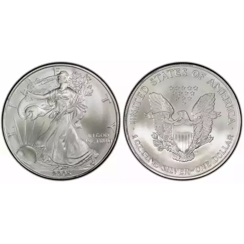 2005 1oz American Silver Eagle