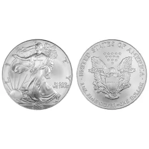 2006 1oz American Silver Eagle