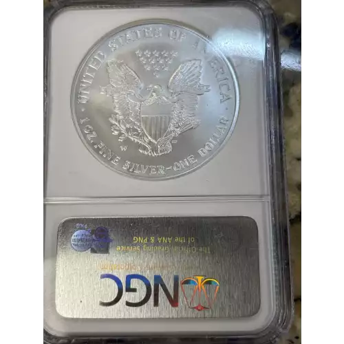 2006 W BURNISHED SILVER EAGLE (2)