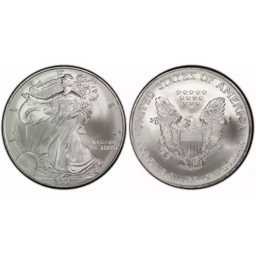 2007 1oz American Silver Eagle