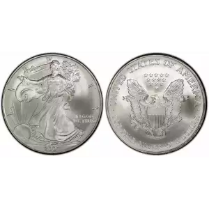 2007 1oz American Silver Eagle