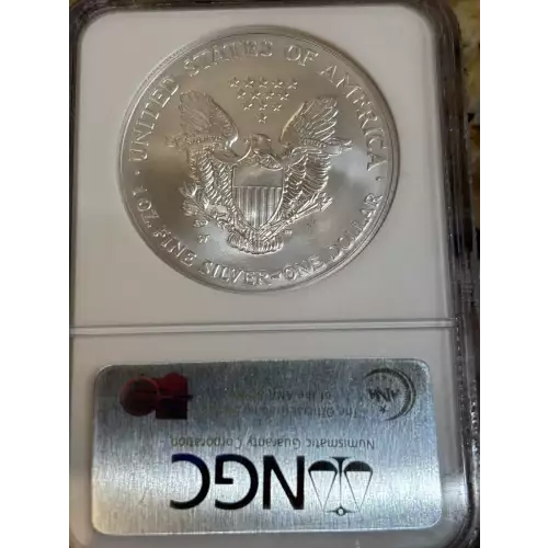 2007 W BURNISHED SILVER EAGLE EARLY RELEASES (2)
