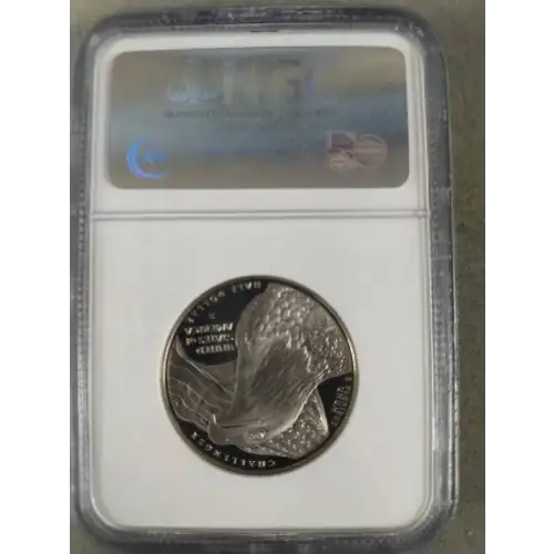 2008 BALD EAGLE ULTRA CAMEO