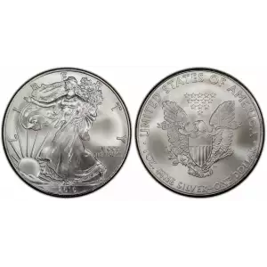 2010 1oz American Silver Eagle