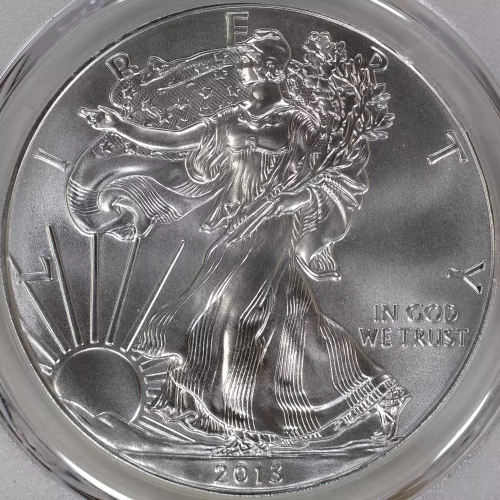 2013 $1 Silver Eagle (2)