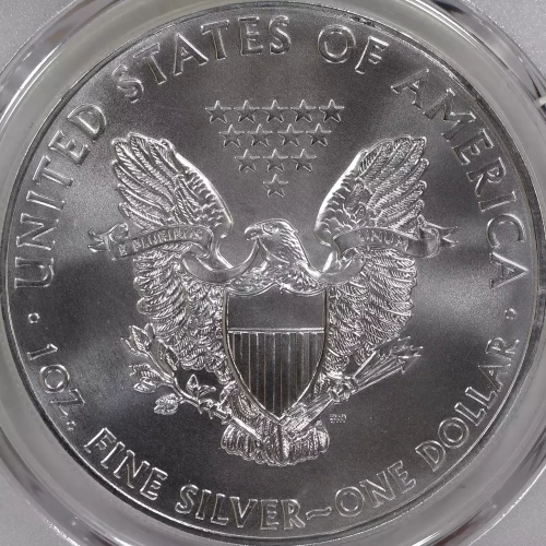 2013 $1 Silver Eagle (4)