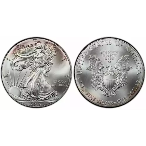 2013 1oz American Silver Eagle