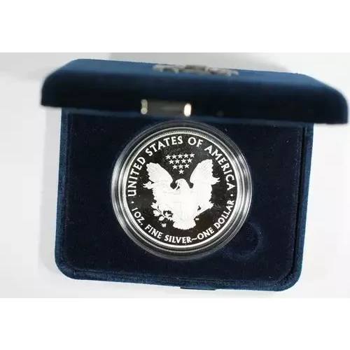 2013 W 1oz Silver Eagle  Proof - with Original Govt Packaging