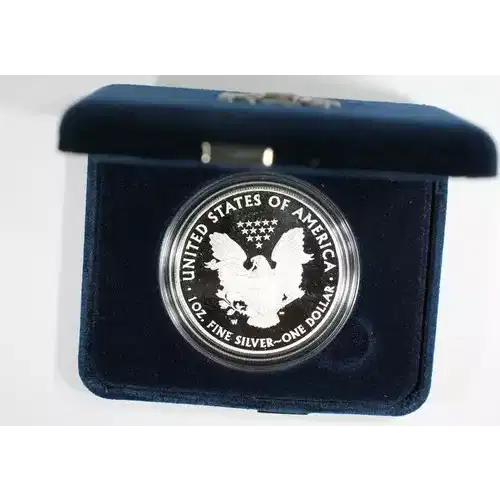 2013 W 1oz Silver Eagle  Proof - with Original Govt Packaging