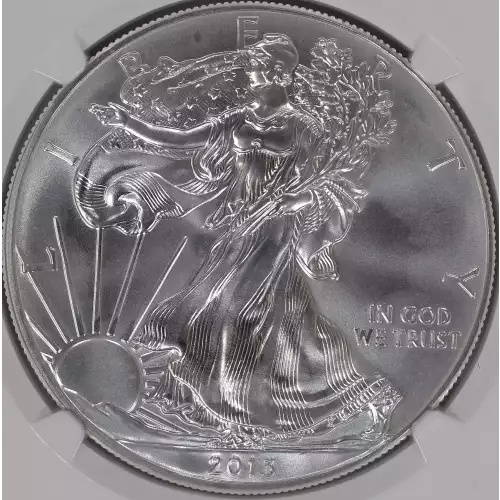 2013(W) Struck at West Point Mint  (3)