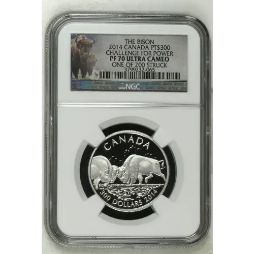 2014 Challenge for Power The Bison ULTRA CAMEO (2)