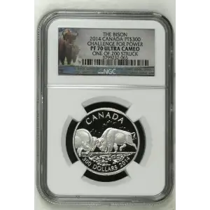 2014 Challenge for Power The Bison ULTRA CAMEO (2)