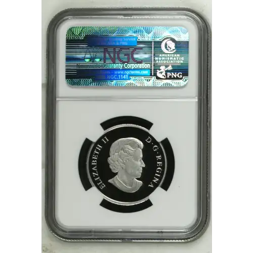 2014 Challenge for Power The Bison ULTRA CAMEO (3)