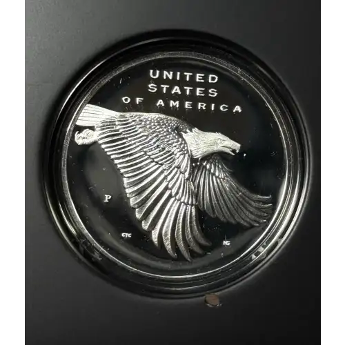 2017 American Liberty 225th Silver Medal (3)