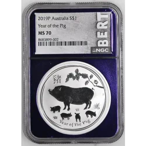 2019P Year of the Pig (2)