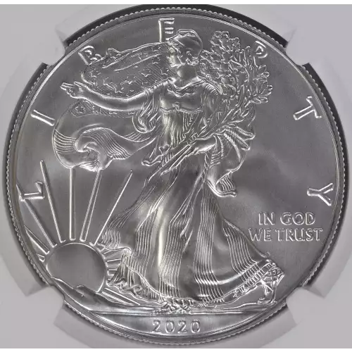 2020 W Burnished Silver Eagle 