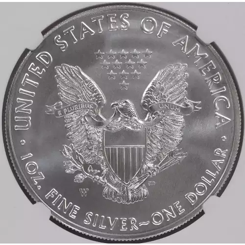 2020 W Burnished Silver Eagle 