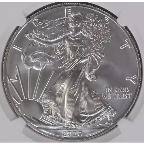 2020 W Burnished Silver Eagle
