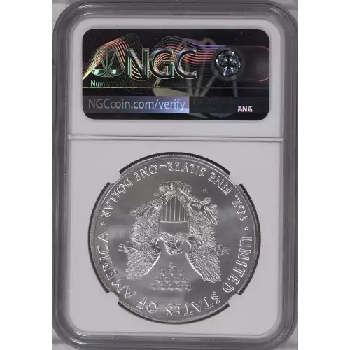 2020 W Burnished Silver Eagle