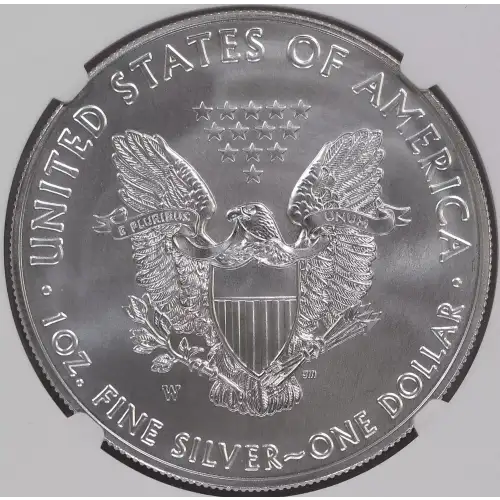 2020 W Burnished Silver Eagle