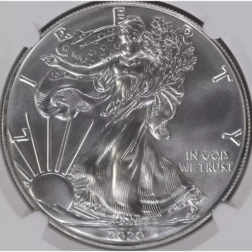 2020(W) Struck at West Point Mint 