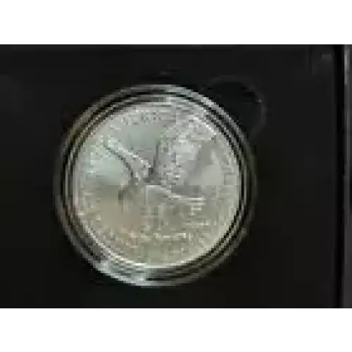 2021 W 1oz Type 2 Silver Eagle  Proof - with Original Govt Packaging