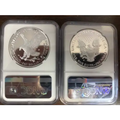 2021 W Eagle Landing T-2 ULTRA CAMEO (2)