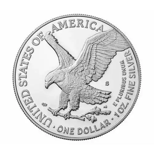 2022 S 1oz Silver Eagle  Proof - with Original Govt Packaging